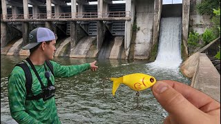 Whopper Plopper Micro in the Most INSANE Spillway Ever!!