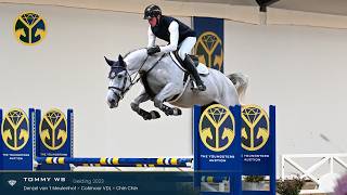 Download lagu 5 Tommy WS (Denzel van 't Meulenhof x Cohinoor VDL) gelding, 2023 - TYA 2026