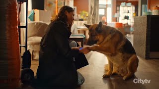 The Most Adorable Rex And Sarah Moment - Season 7 Episode 2