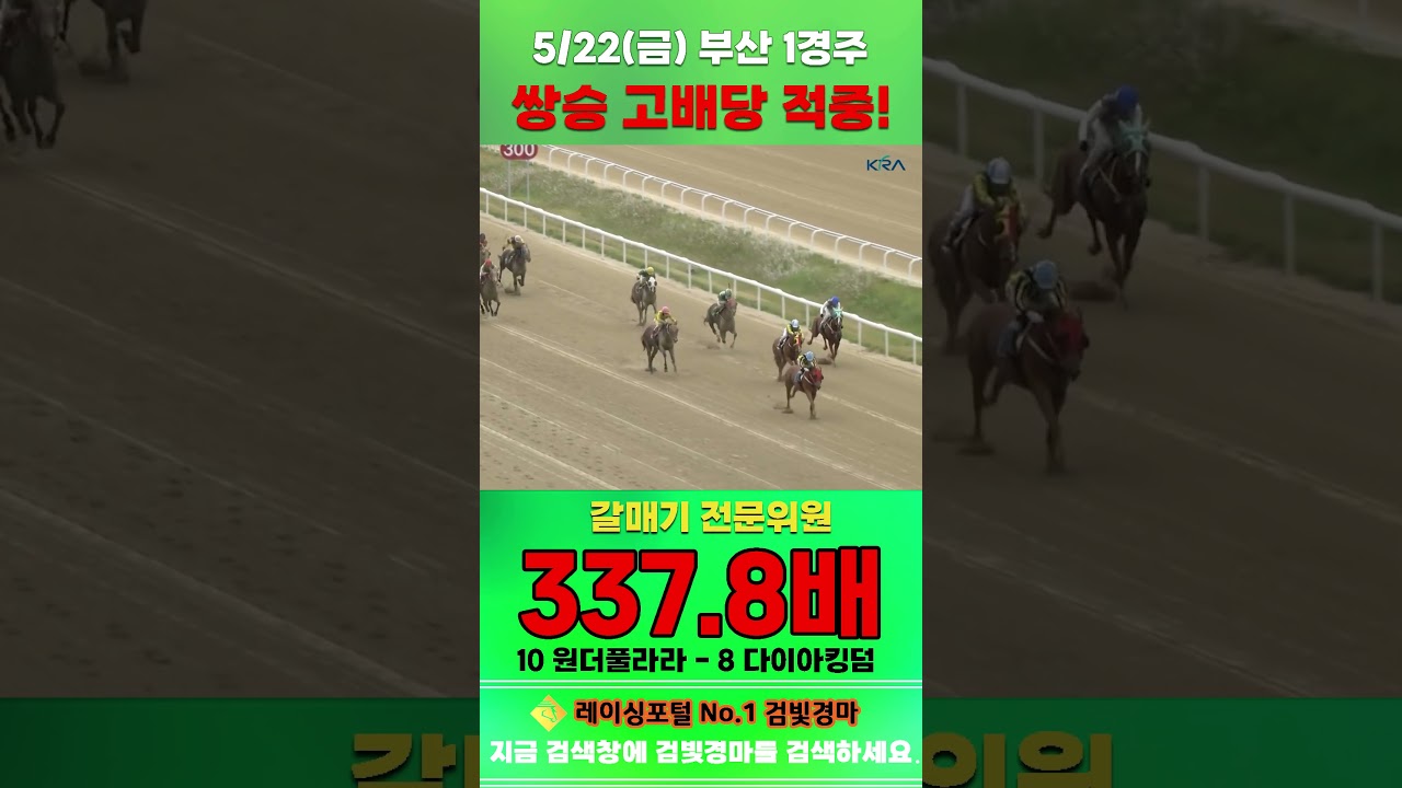 [부산 경마] 5월 22일 금요 1경주 갈매기 전문위원 쌍승 고배당 적중 #경마 #automobile #하이라이트 #horse #한국마사회 #주식 #korean #게임 #https