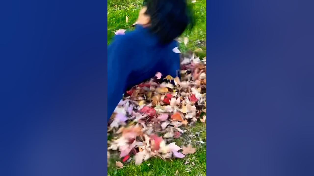 Boy Falls in Leaf Pile and Hurts His Headfunnyouchshorts YouTube