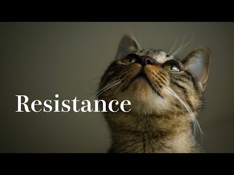 歌が下手くそすぎたResistance / TM NETWORK【下僕の写真と宅録9】