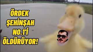 şehinşah no.1'i öldürüyor ve istanbul trip ekibini kovalıyor!