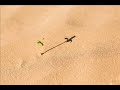 30 سورة الروم القارئ عبدالرحمن الماجد
