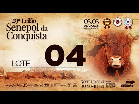 LOTE 04 CONQ 2471