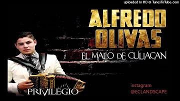 ALFREDO OLIVAS MIX CORRIDOS