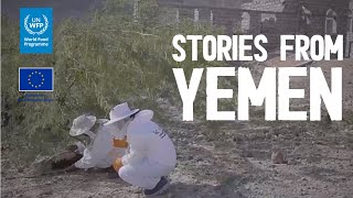 Stories from Yemen: Abu Bakr the Beekeeper
