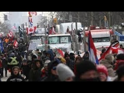 Video: Există un zbor direct către Canada?