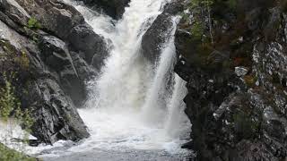 Rogie Falls, A835, Strathpeffer Scotland - Can You Spot The Salmon?