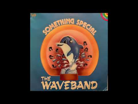 The Waveband - The River Passing By