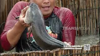 Berkah Melimpah Di Rawa Pening | JEJAK SI GUNDUL (21/06/24)