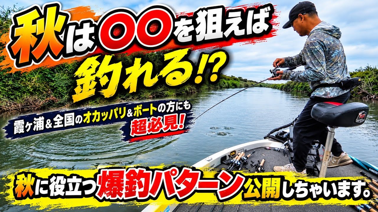 秋のシークレットパターン公開しちゃいます。