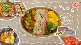 해외여행 다녀온 다음날 도시락싸기🍱 | 동생과 투닥대는 직장인 일상 브이로그 💢
