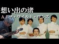 【AI音声分離で昭和の夏を思い出す】想い出の渚 ザ・ワイルド・ワンズ(cover)弾き語り by Boon