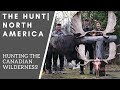 Hunting the Canadian Wilderness for Moose, Caribou, Mountain Goat, Stone & Dall Sheep! | THE HUNT