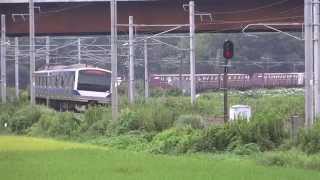JR常磐線 E531系 & EH500-7牽引 コンテナ貨物