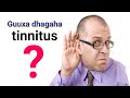 Guuxa Dhagaha Laga Dareemo Tinnitus 5 Sheey OO Sababta Iyo Xalka Dr Timajilac 2022 