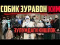 АКХВОЛ ЧАТОК. ЗУРАВОНЛИК, БУТУН КИШЛОК ОЁККА ТУРДИ, СОБИК  ХОДИМИ. ХАЛКНИ КУРКИТЯПТИ