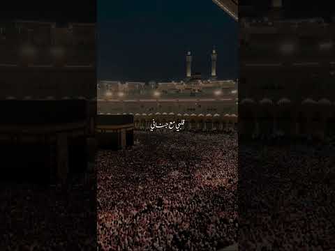 لما سار المركب نساني اخدوا قلبي مع جناني ياطيبة