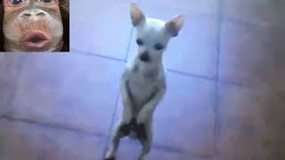otherside EARRAPE EDITION the milk gonna fall down