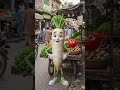 Miss Moli#MoliSwag #MandiKaDon #FunnyMemes #CreativeAnimation"#Moli #RadishSwag #MandiKaRaja