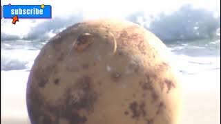 A mysterious, large metal ball was discovered on a beach in Japan 😯  #japan #mystery