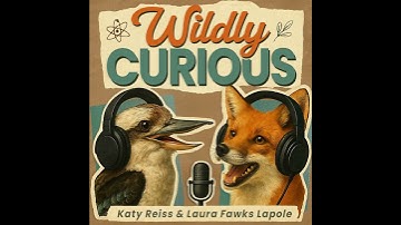 The Hessdalen Lights: Science’s Strangest Unexplained Glow