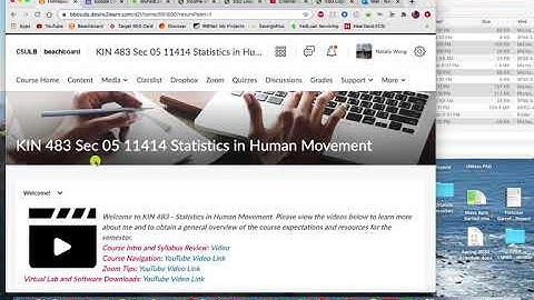 KIN 483 F20 BeachBoard Navigation