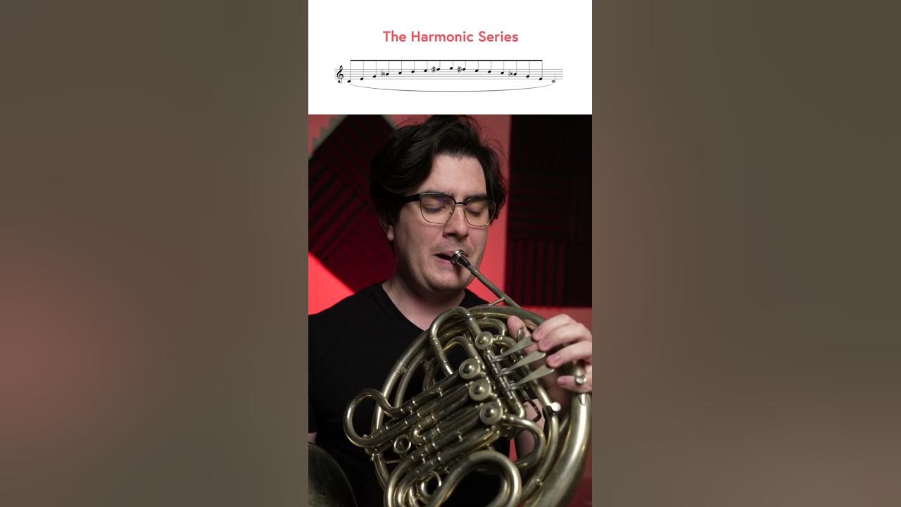 You can play these 16 notes on the French Horn without touching the valves.
