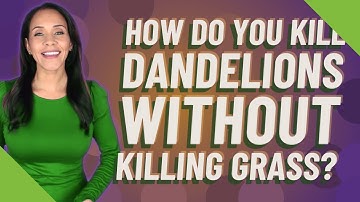 How do you kill dandelions without killing grass?