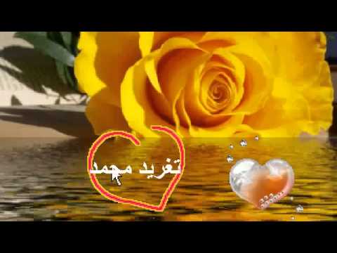 محمد وردى بعد ايه جيت تصالحني بعد ما ودرت قلبي الكنت فيه تغريد محمد