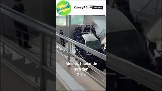 Yuvaya Yemek Götüren Karınca Kolonisi🐜😂