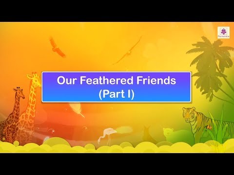 Our Feathered Friends | Science Video For Kids | Periwinkle