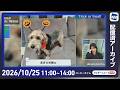 【ライブ配信終了】最新天気ニュース・地震情報 2026年10月26日(月) /西日本から東北南部の広い範囲で雨〈ウェザーニュースLiVEコーヒータイム・白井ゆかり/有賀哲夫〉