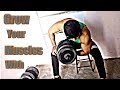 How To Grow Size Of Biceps | at home || tips in hindi ||