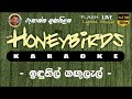 Indunil Gagulal karaoke (Without Voice) ඉඳුනිල් ගඟුලැල්  කැරෝකේ