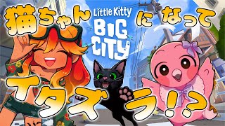 赤ちゃんフラミンゴが猫になって大暴れ！Vtuberコンビのゲラゲラ実況！【 めまいパレード / 羽合アン / 桃野トリ / 新人VTuber / Little Kitty, Big City  】