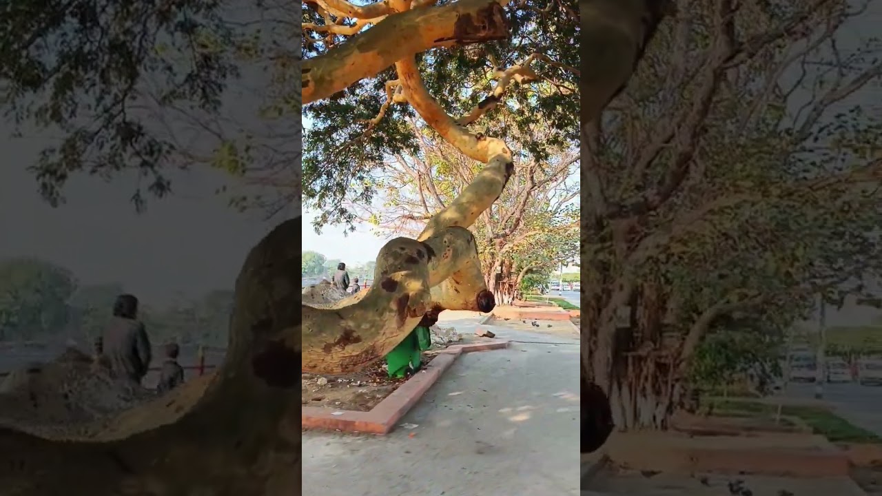 အရည်တွေပျော်ကုန်ပြီ🥰သီချင်းလေးကြိုက်လို့🥰