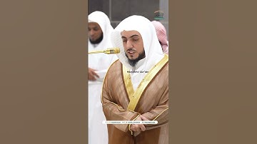 صلاة المغرب 8 جمادي الآخرة 1446 - فضيلة الشيخ د وليد الشمسان - المسجد الحرام - سورة التكاثر