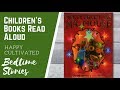Merry Christmas Mr. Mouse Quiz