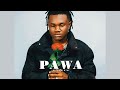 Mbosso PAWA Karaoke Lyrics Video Live Guitar Mbosso PAWA Karaoke Lyrics Video Live Guitar