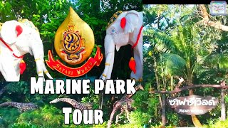 MARINE PARK TOUR AT SAFARI WORLD BANGKOK THAILAND | CHRYSCAEL CHANNEL