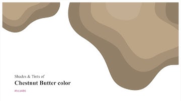 Shades & Tints of Chestnut Butter color #bca486 A Warm Yellow color #a79177 #927f68 #c3ae93 #cab8a0