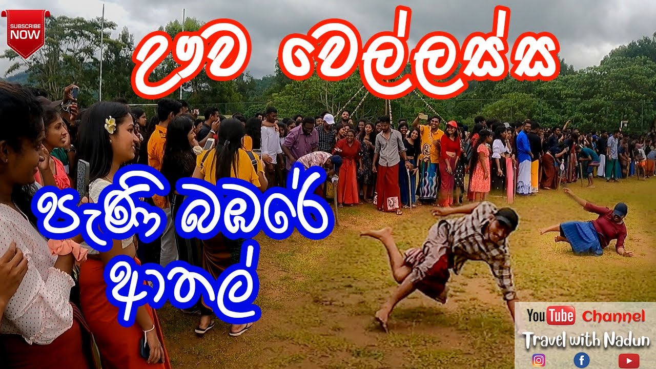 වෙරි අඩි❤️😅 | Uva Wellassa University