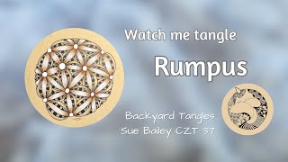 Watch me tangle - Rumpus