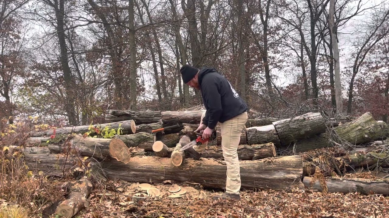 Red Beard Saws 2511T for Blake