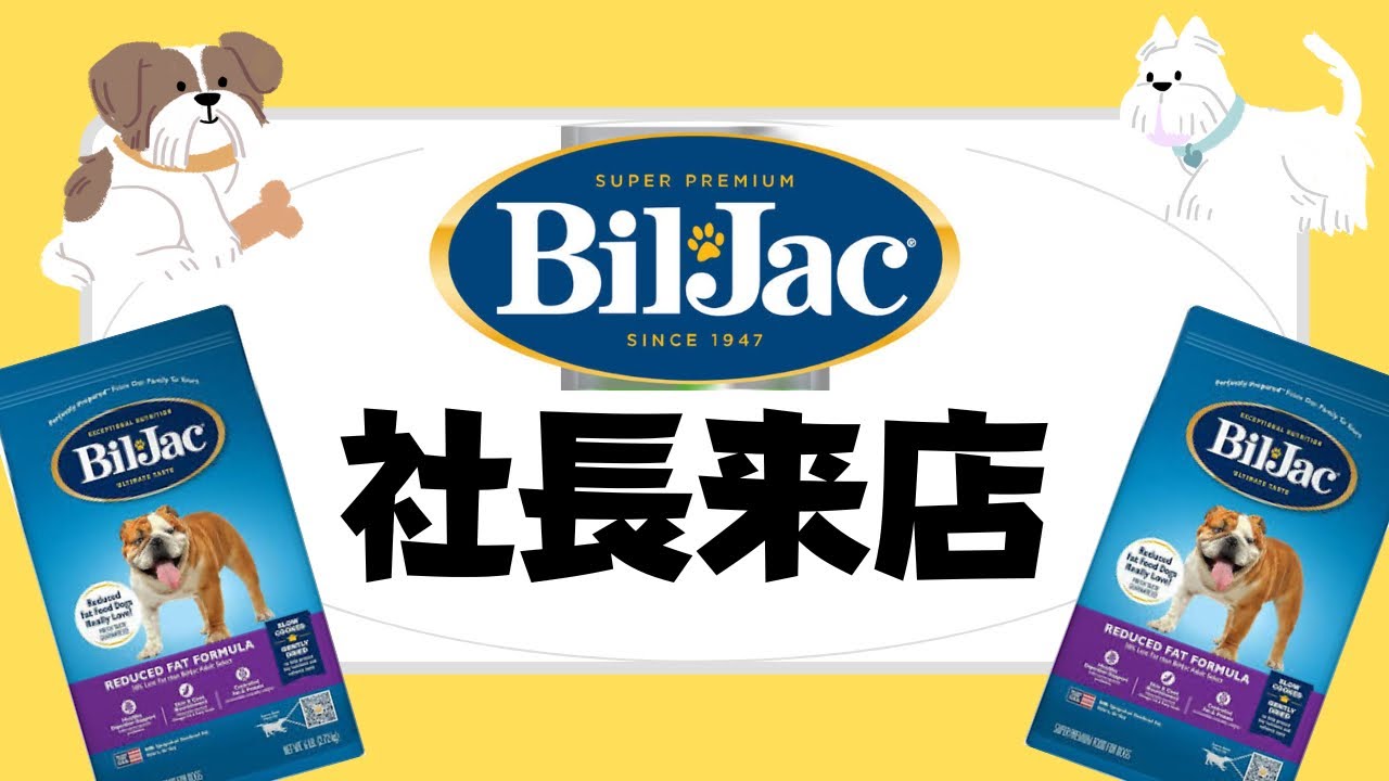 アンチノール アンチノール談義2。回しもんじゃないですよスペシャル。 | 獣医師の