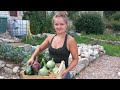 JDB : Le potager d'Agnès / Poulailler, ça va trop loin !