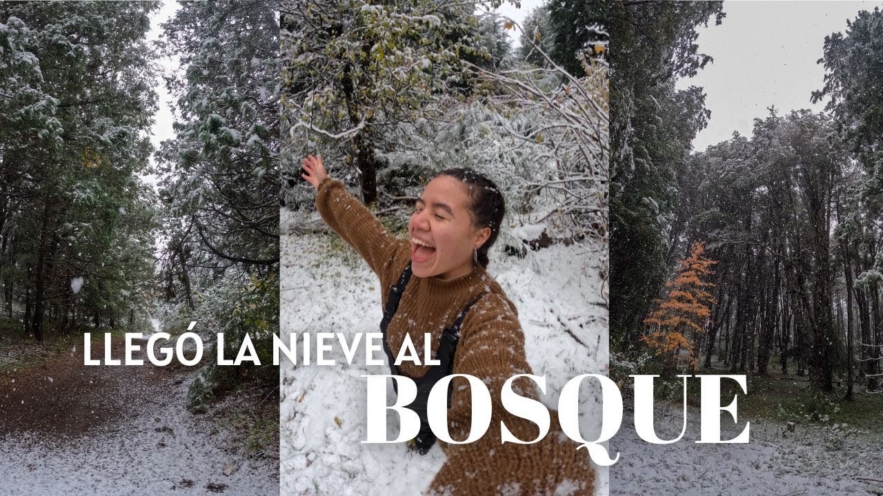 Recibiendo la NIEVE en BARILOCHE | slow days vlog