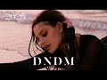 DNDM Davvi I Have A Lot Of Love 2025 DNDM Davvi I Have A Lot Of Love 2025